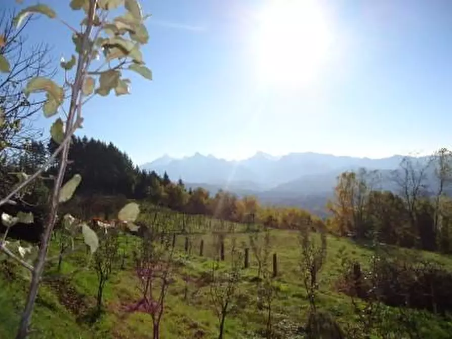Immagine 22 di Rustico / casale in vendita  a Fivizzano