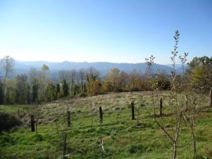 Immagine 21 di Rustico / casale in vendita  a Fivizzano