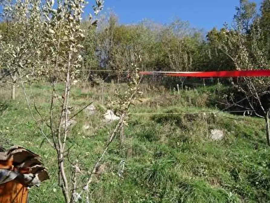 Immagine 26 di Rustico / casale in vendita  a Fivizzano