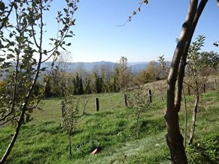 Immagine 28 di Rustico / casale in vendita  a Fivizzano