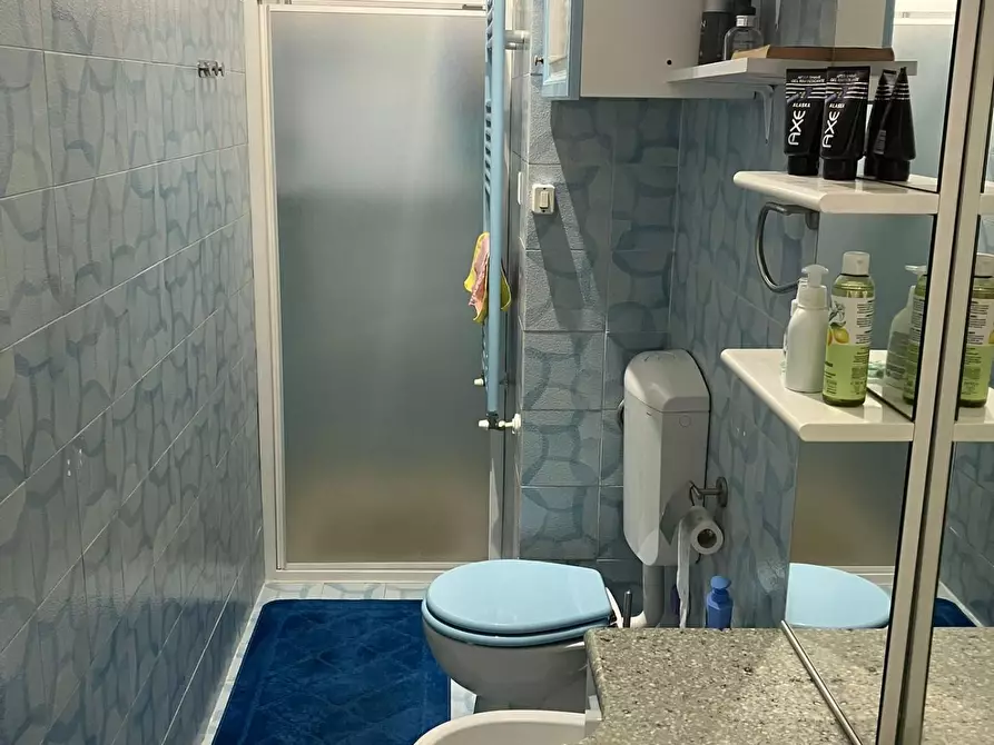 Immagine 11 di Appartamento in vendita  a Massa