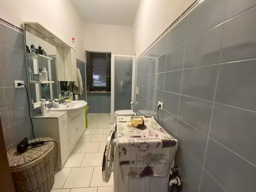 Immagine 12 di Appartamento in vendita  a Rosignano Marittimo