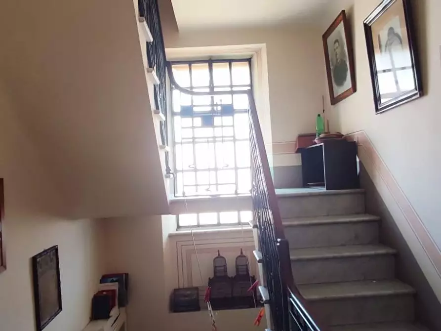 Immagine 18 di Terratetto in vendita  a Carrara