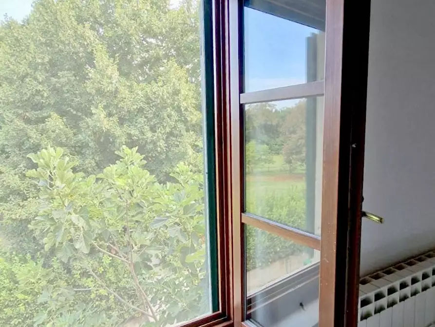 Immagine 18 di Terratetto in vendita  a Pisa