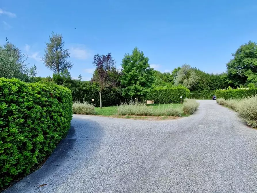 Immagine 17 di Terratetto in vendita  a Pisa