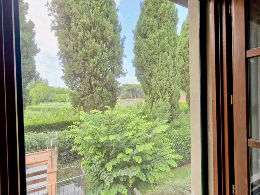 Immagine 16 di Terratetto in vendita  a Pisa