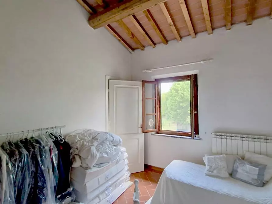 Immagine 13 di Terratetto in vendita  a Pisa