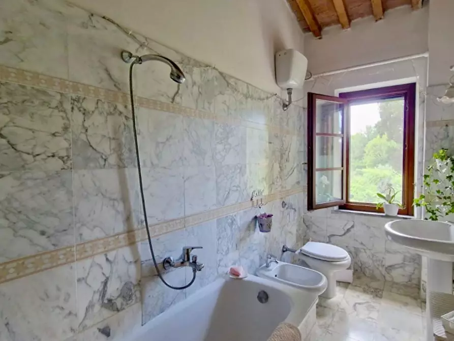 Immagine 15 di Terratetto in vendita  a Pisa