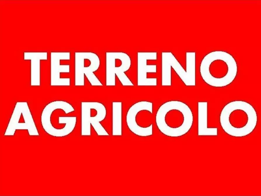 Immagine 2 di Terreno agricolo in vendita  a Massa