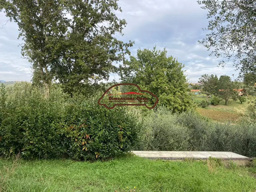 Immagine 9 di Rustico / casale in vendita  a Montecarlo