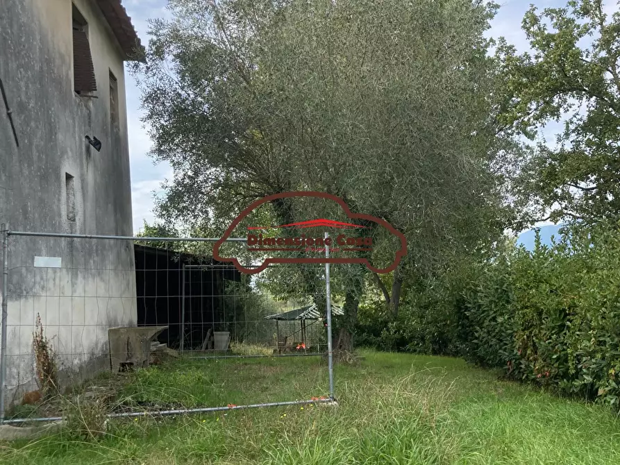 Immagine 10 di Rustico / casale in vendita  a Montecarlo