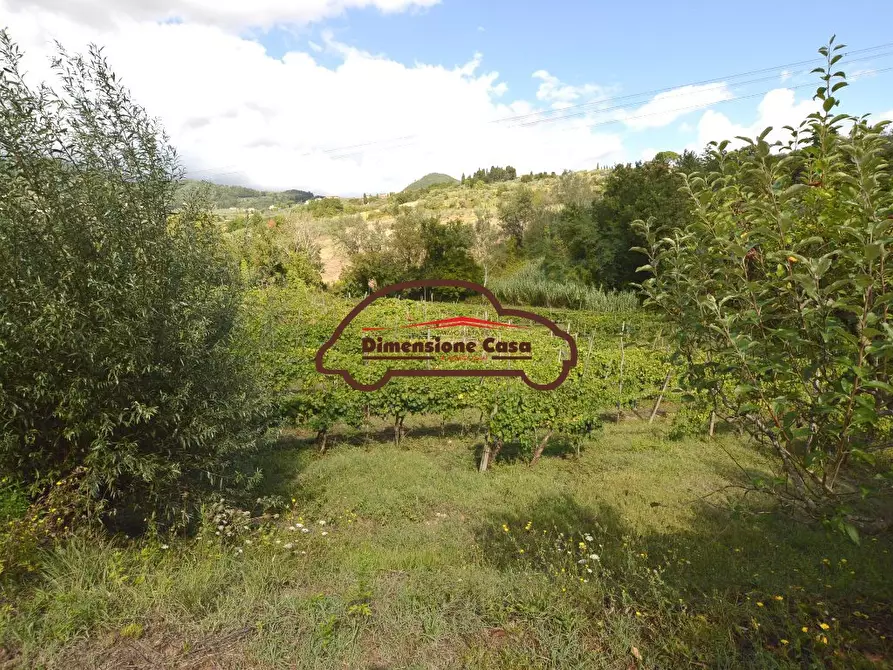 Immagine 17 di Terratetto in vendita  a Capannori