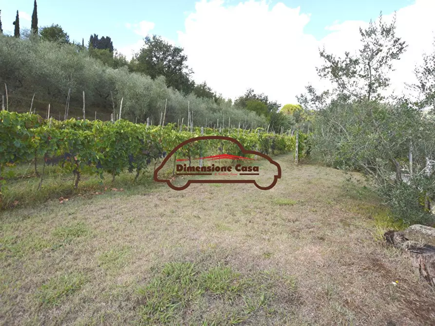 Immagine 16 di Terratetto in vendita  a Capannori