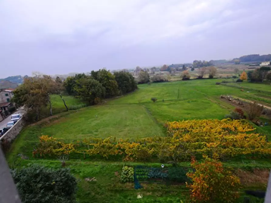 Immagine 11 di Villa in vendita  a Capannori