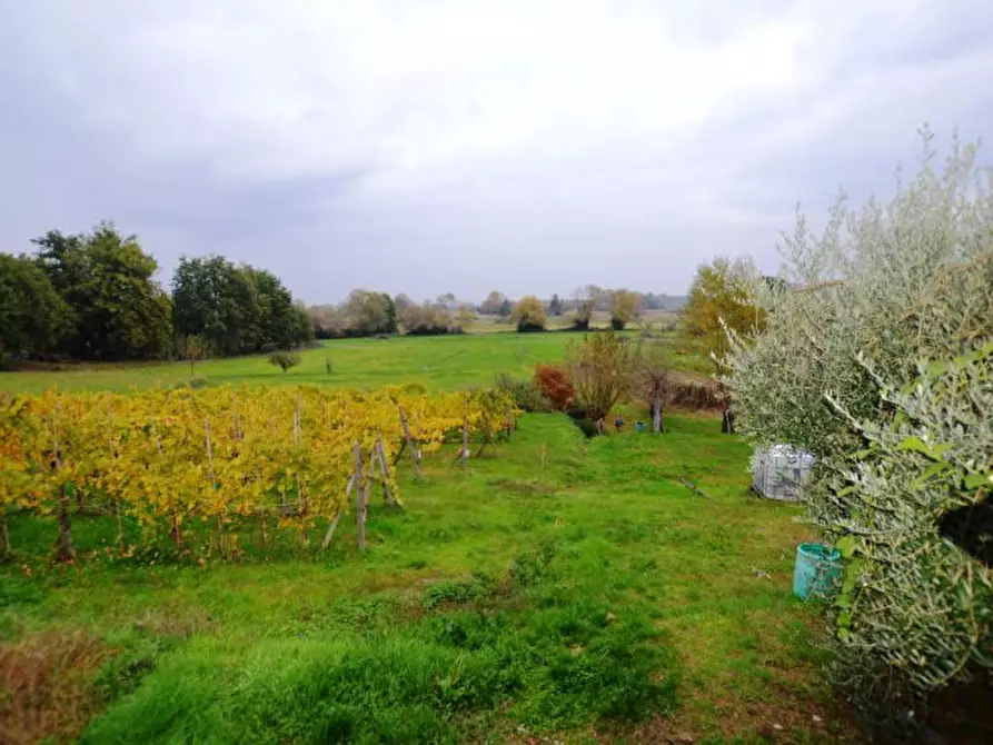 Immagine 2 di Villa in vendita  a Capannori