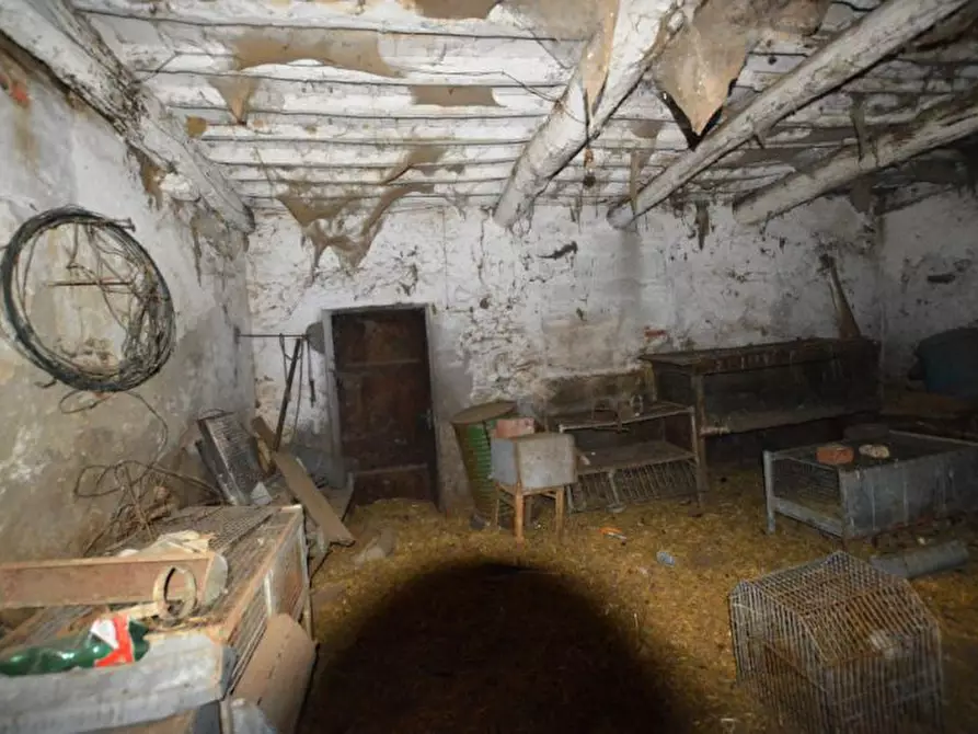 Immagine 14 di Villa in vendita  a Capannori