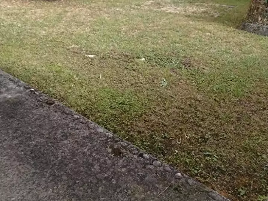 Immagine 3 di Porzione di casa in vendita  a Massa