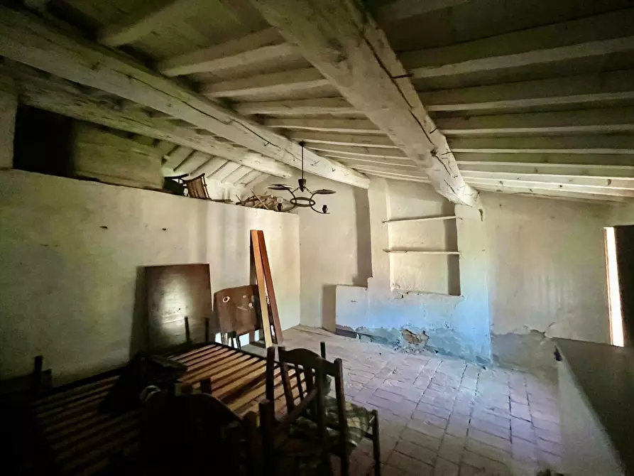 Immagine 32 di Rustico / casale in vendita  a Palaia