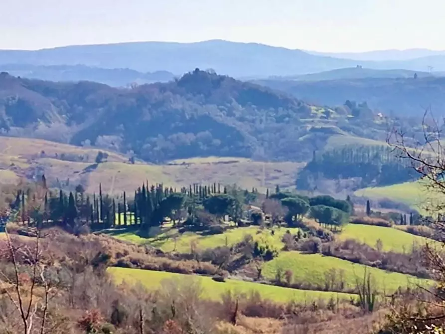 Immagine 1 di Rustico / casale in vendita  a Palaia