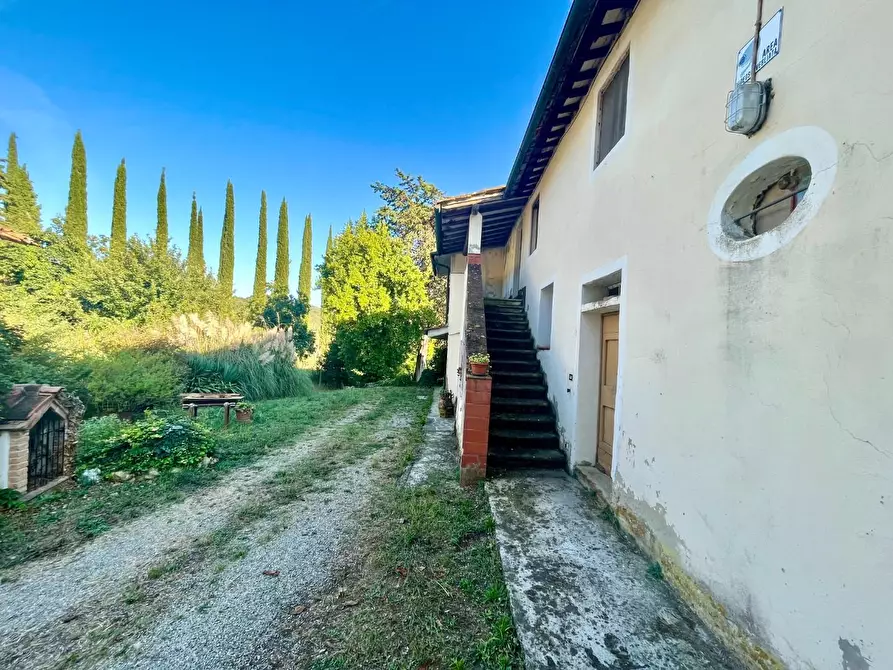 Immagine 4 di Rustico / casale in vendita  a Palaia