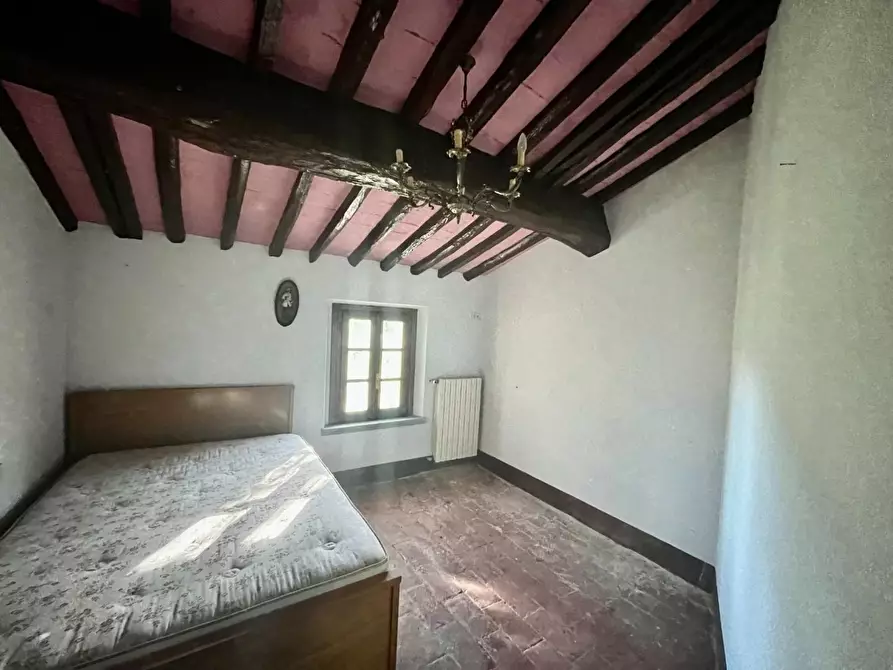 Immagine 37 di Rustico / casale in vendita  a Palaia