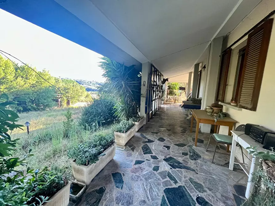 Immagine 14 di Rustico / casale in vendita  a Palaia