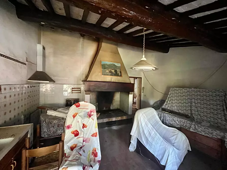Immagine 31 di Rustico / casale in vendita  a Palaia