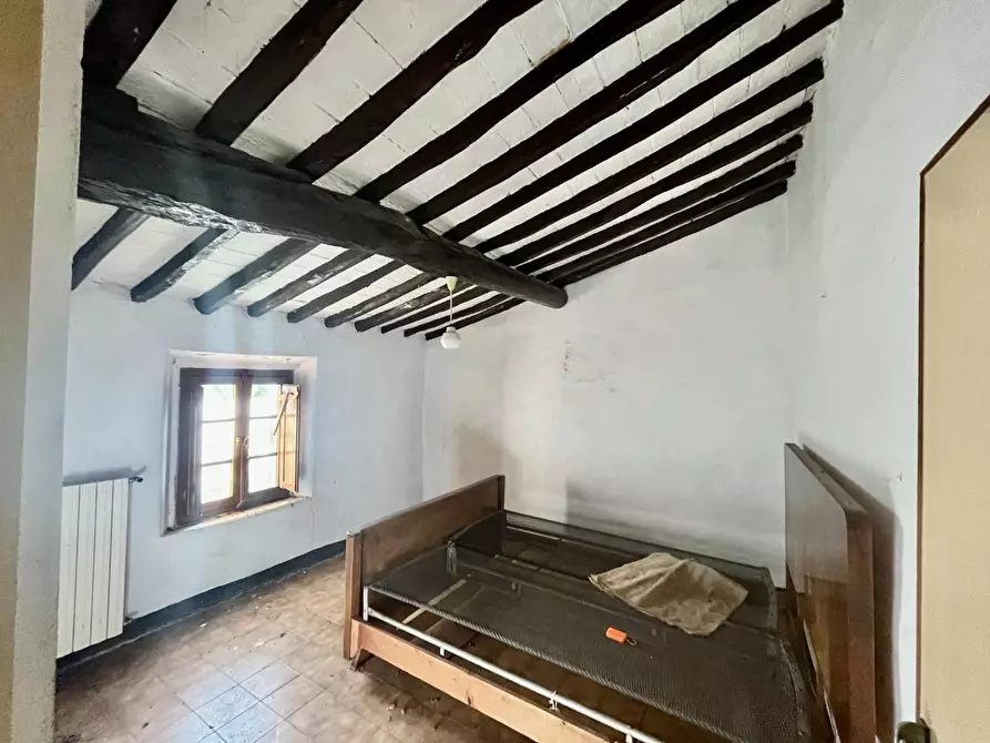 Immagine 38 di Rustico / casale in vendita  a Palaia