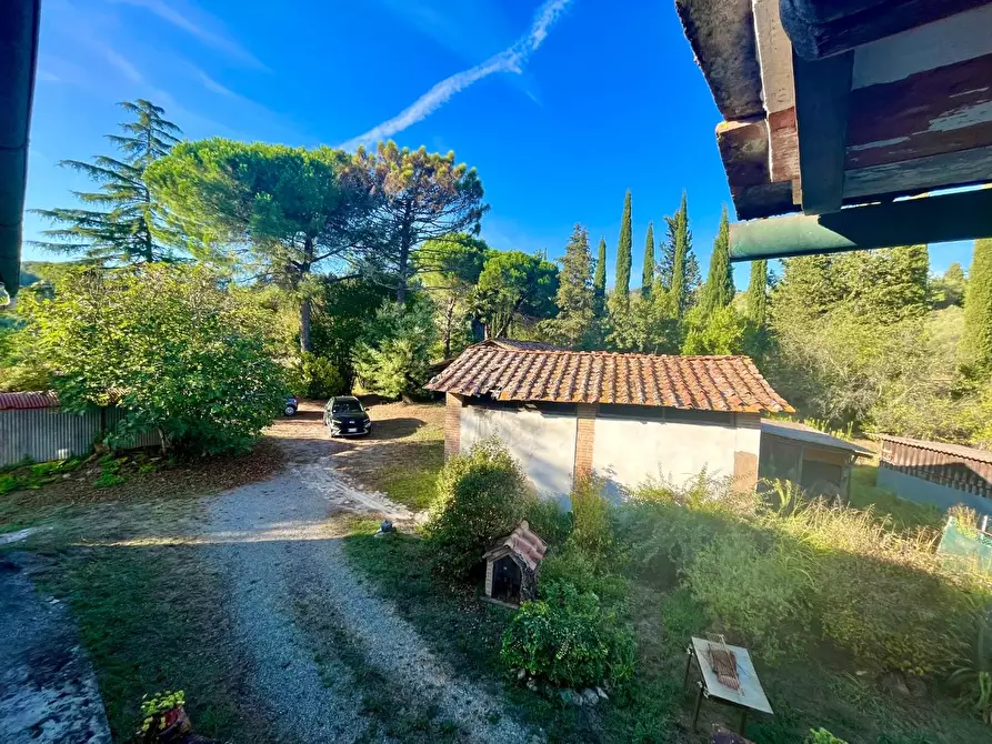 Immagine 7 di Rustico / casale in vendita  a Palaia