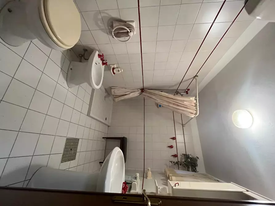 Immagine 13 di Rustico / casale in vendita  a Palaia