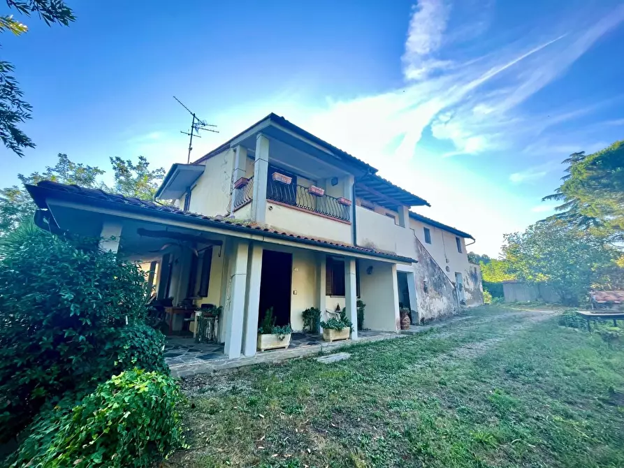 Immagine 3 di Rustico / casale in vendita  a Palaia