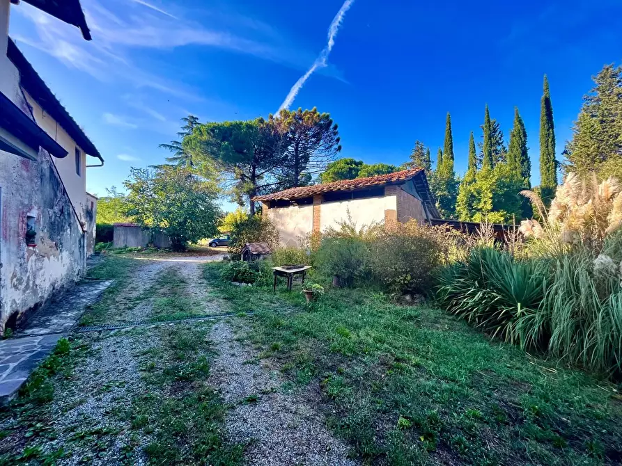 Immagine 6 di Rustico / casale in vendita  a Palaia