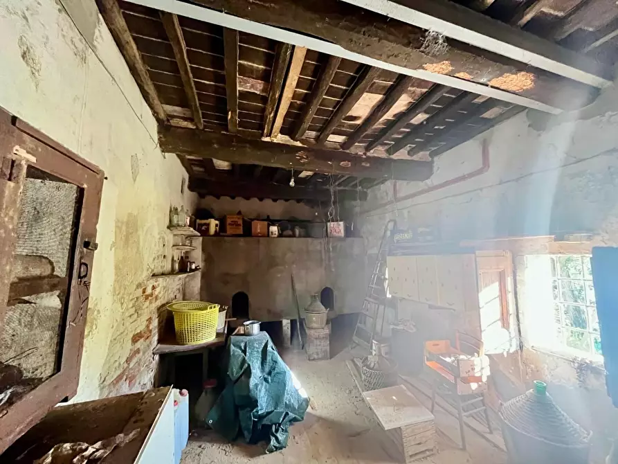 Immagine 28 di Rustico / casale in vendita  a Palaia