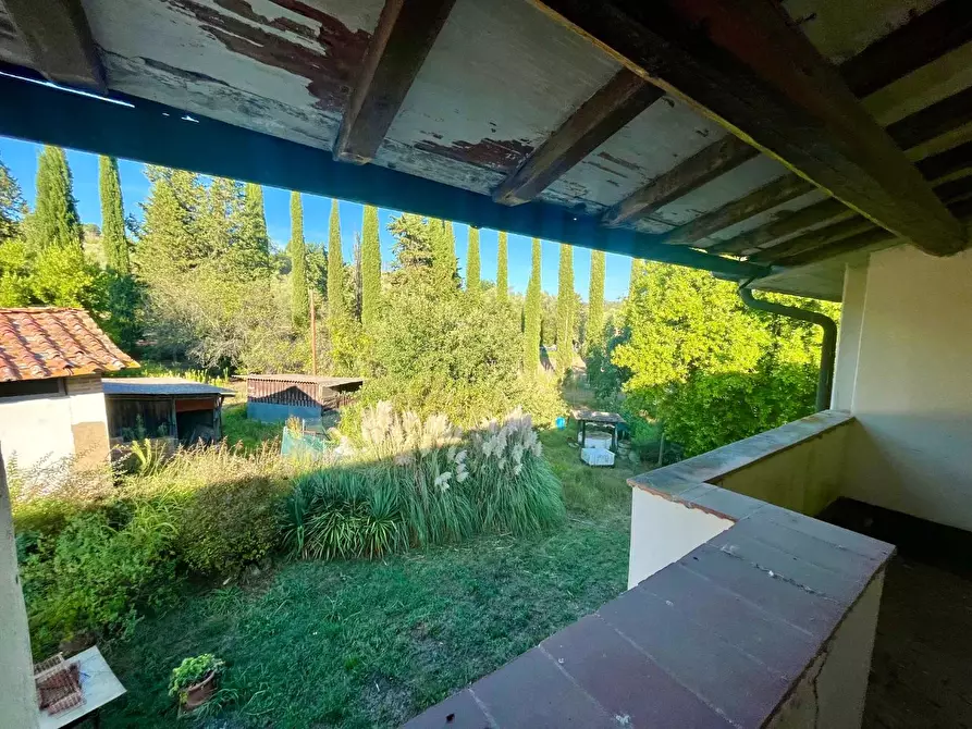 Immagine 30 di Rustico / casale in vendita  a Palaia