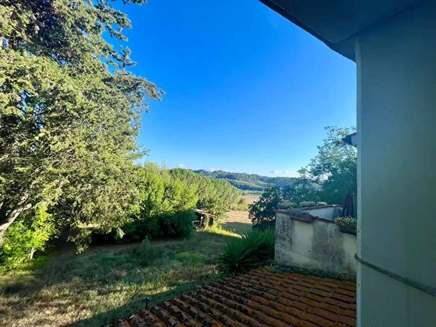 Immagine 24 di Rustico / casale in vendita  a Palaia