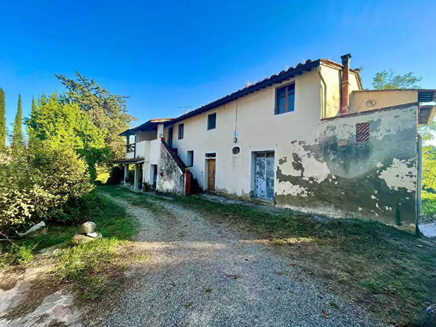 Immagine 2 di Rustico / casale in vendita  a Palaia