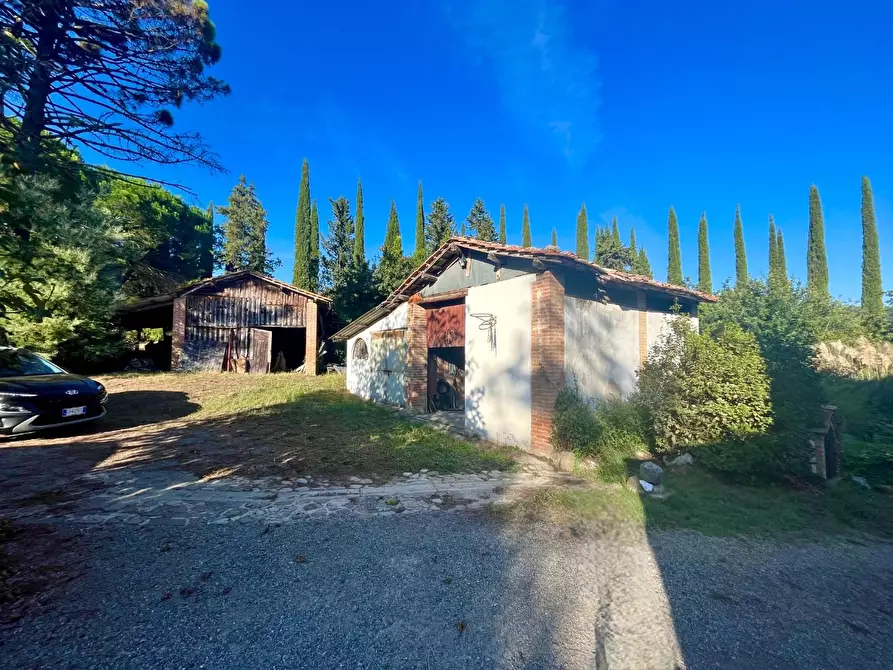 Immagine 26 di Rustico / casale in vendita  a Palaia