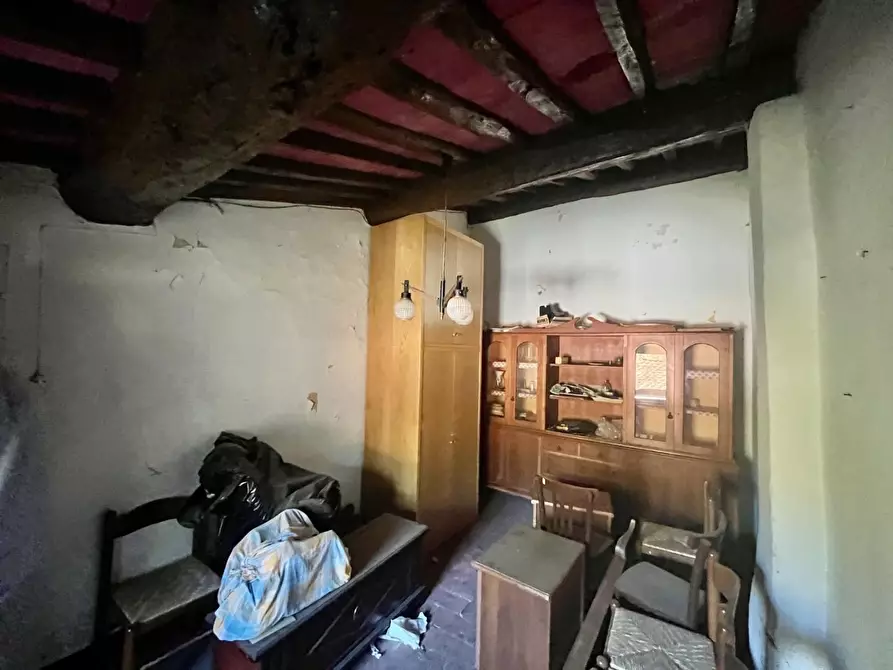 Immagine 33 di Rustico / casale in vendita  a Palaia