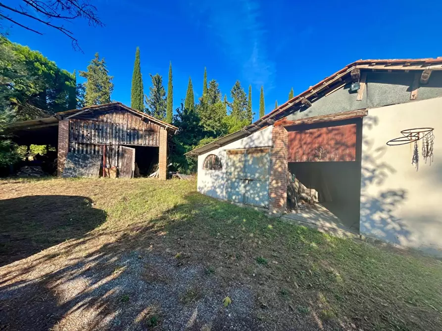 Immagine 5 di Rustico / casale in vendita  a Palaia