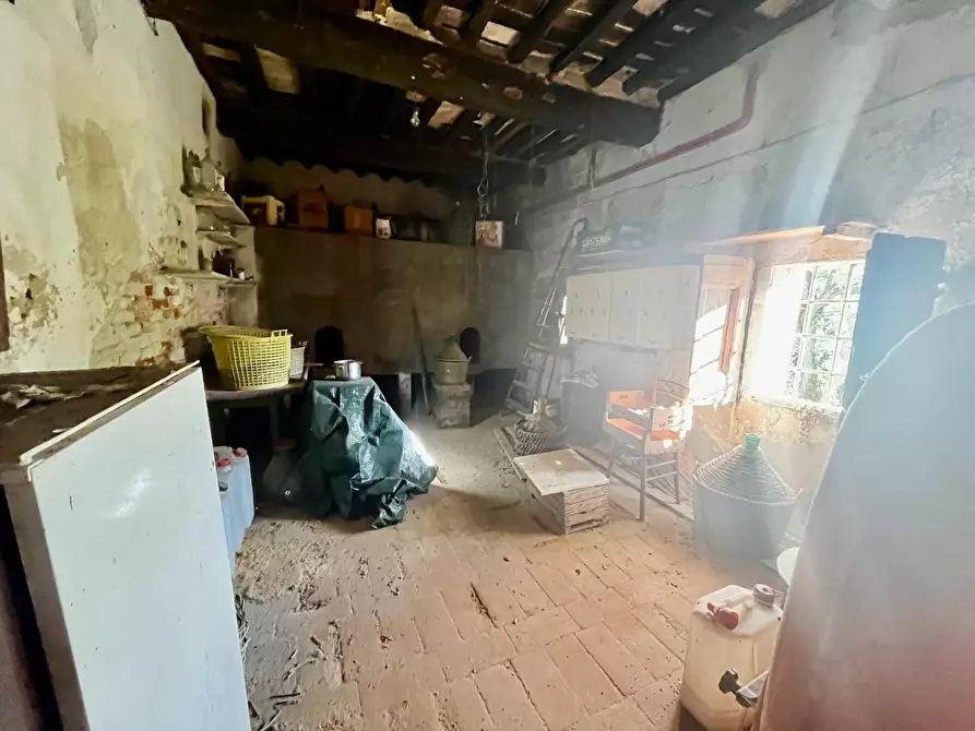 Immagine 29 di Rustico / casale in vendita  a Palaia