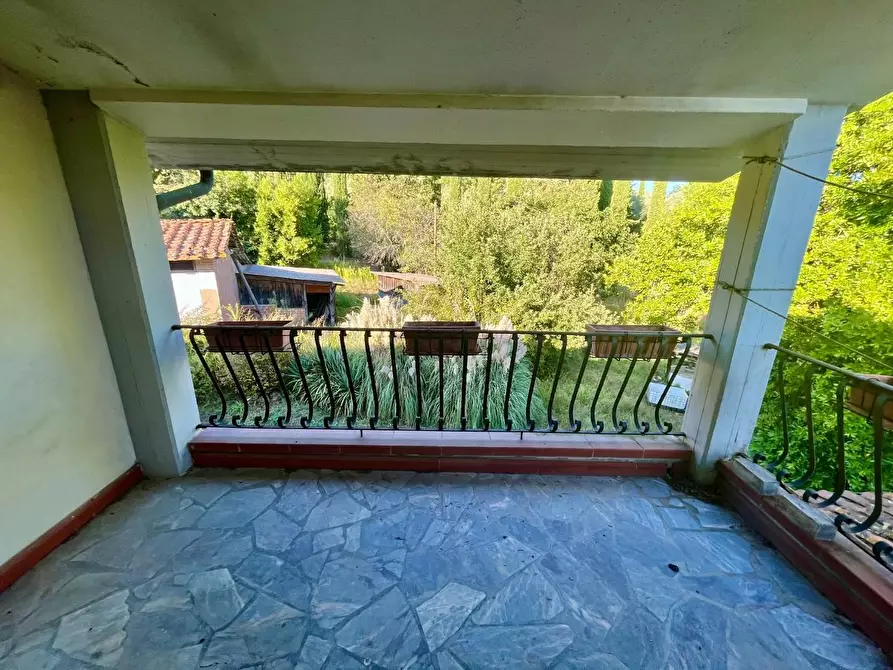 Immagine 23 di Rustico / casale in vendita  a Palaia
