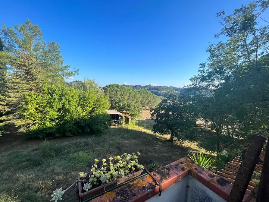 Immagine 16 di Rustico / casale in vendita  a Palaia