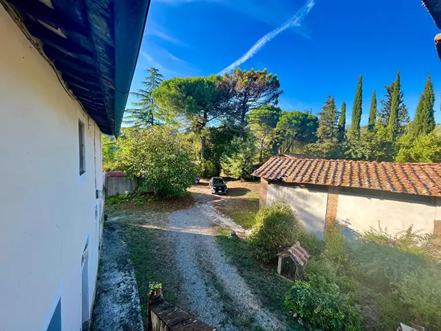 Immagine 8 di Rustico / casale in vendita  a Palaia