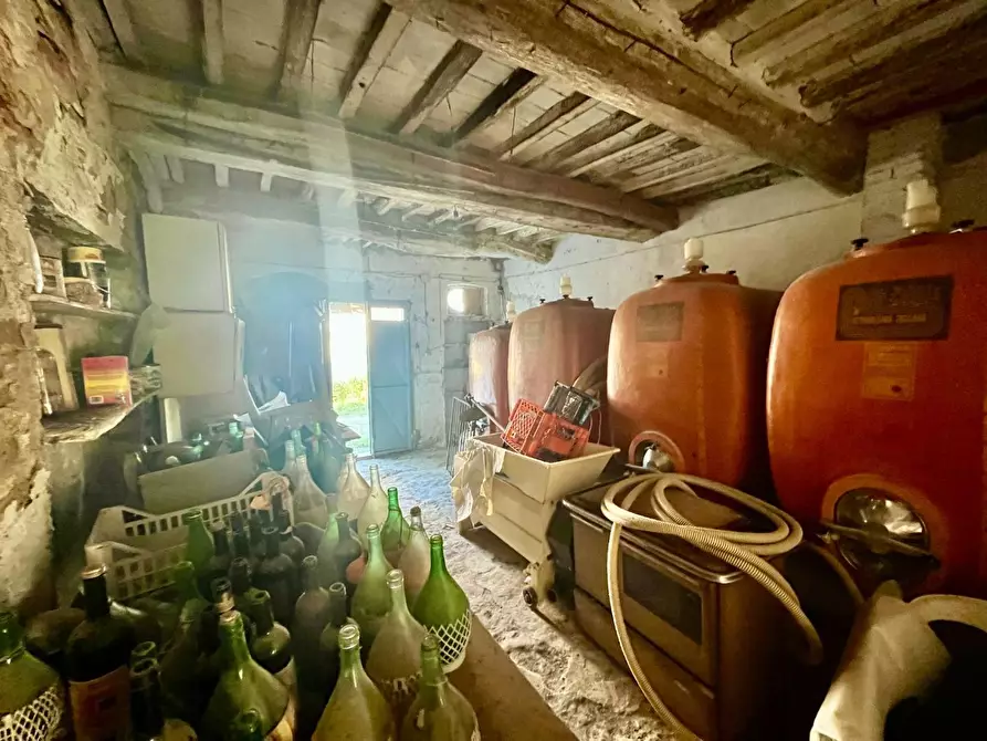 Immagine 27 di Rustico / casale in vendita  a Palaia
