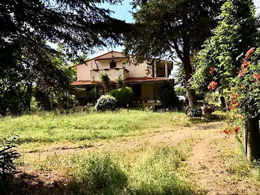 Immagine 9 di Rustico / casale in vendita  a Palaia