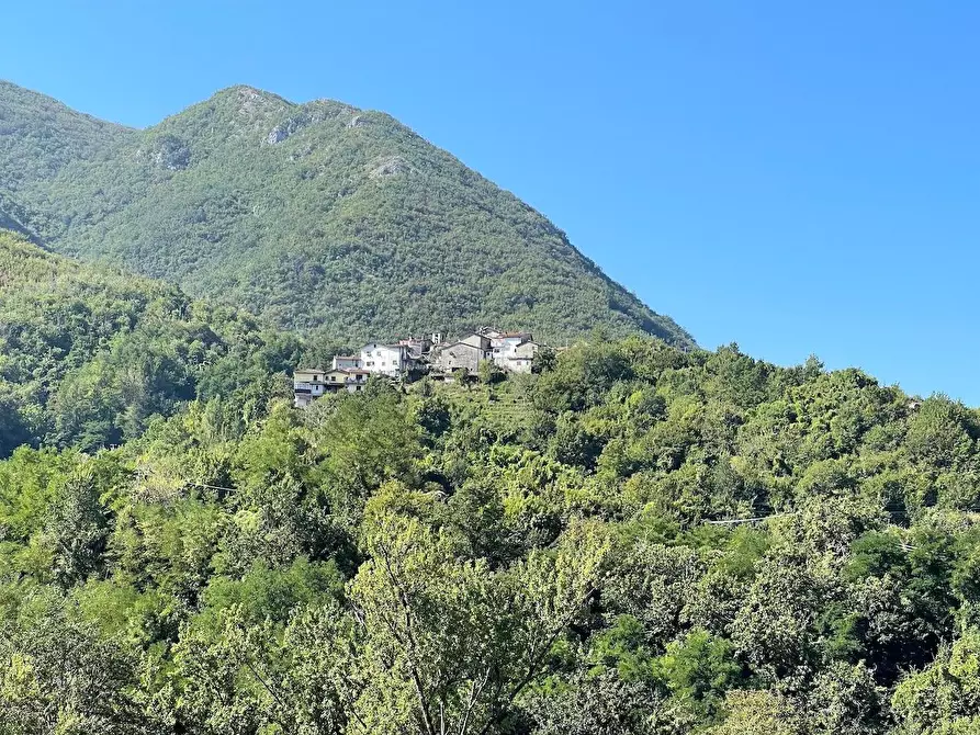 Immagine 28 di Casa indipendente in vendita  a Fivizzano