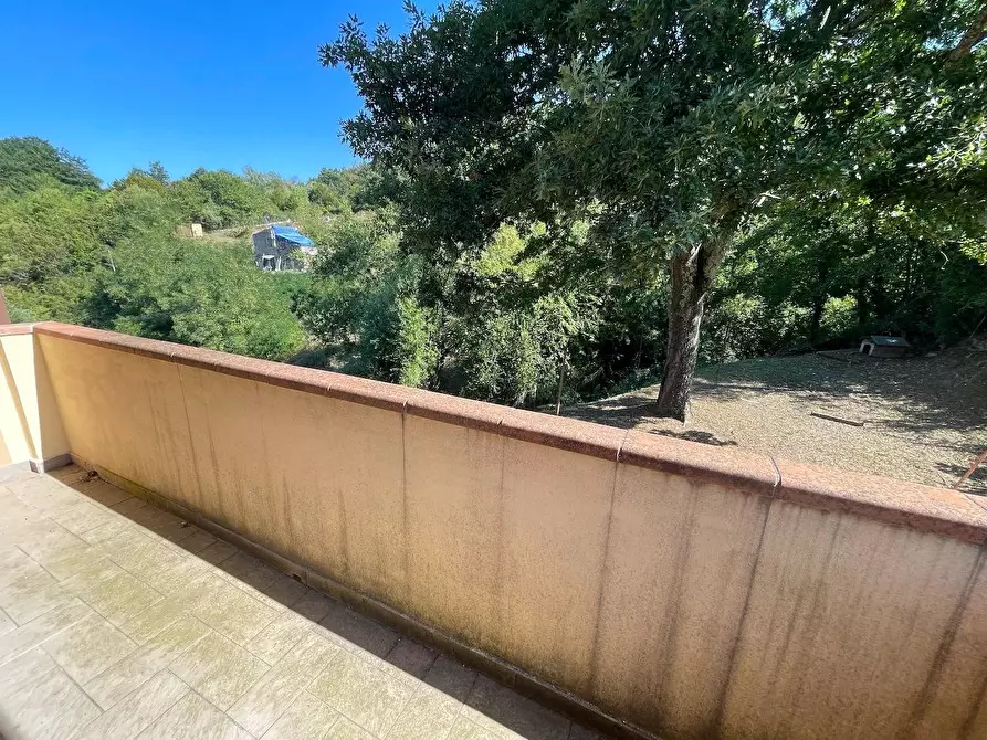 Immagine 26 di Casa indipendente in vendita  a Fivizzano