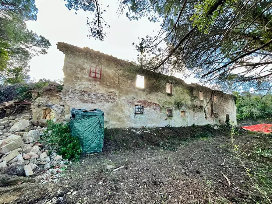 Immagine 1 di Rustico / casale in vendita  a Palaia