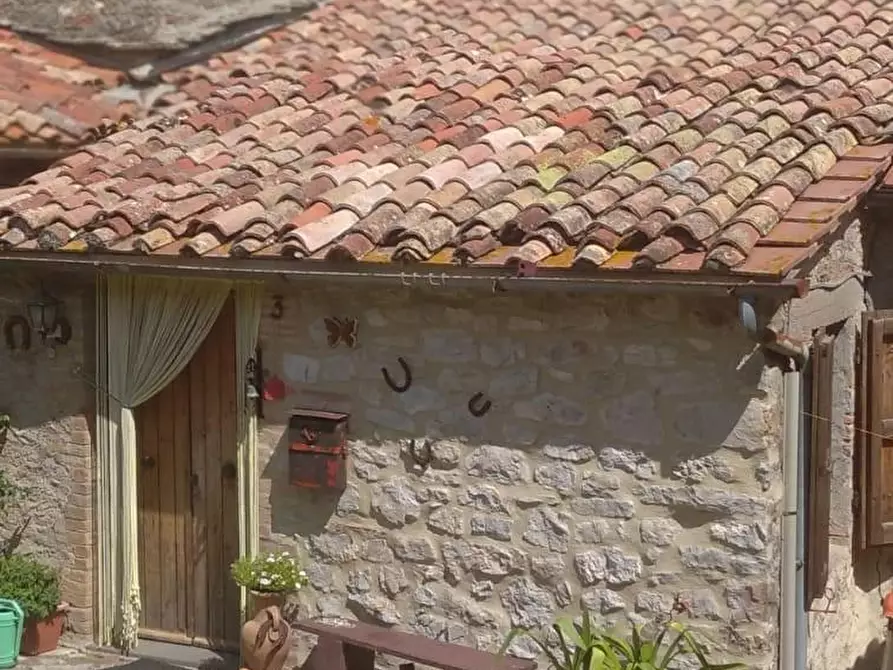 Immagine 22 di Porzione di casa in vendita  a Semproniano
