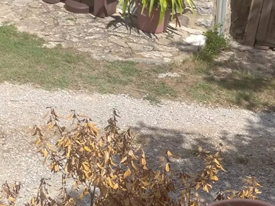 Immagine 5 di Porzione di casa in vendita  a Semproniano